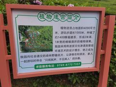 -大屏嶂森林公园