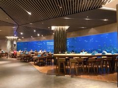 大堂-海棠湾洲际-涛·海底餐厅·美人鱼·自助餐·海底隧道