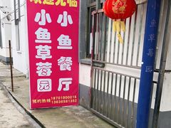 -小鱼草莓采摘园农家乐·小鱼餐厅