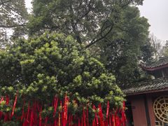 -峨眉山报国寺