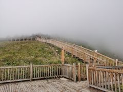 -白草畔自然风景区