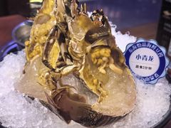 -东海怡品海鲜豆捞(星街坊店)