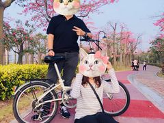 -芒洲湿地公园