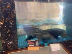 -浔味·山屿湖·正宗全鱼宴老字号