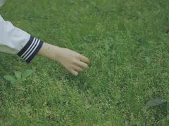 -瑶湖郊野森林公园