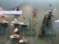 -国家自然博物馆