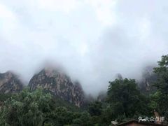 -齐王寨景区