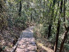 -岳麓山风景名胜区