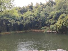 -杭州植物园