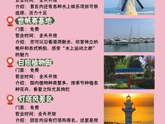 -日照海滨国家森林公园