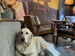 -咖法森林·咖啡  酒吧(天河店)