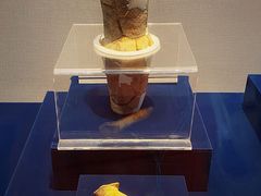 -浙江西湖美术馆