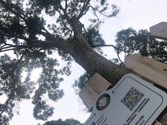 -都江堰普照寺
