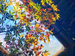 -荣家小吃(紫阳街店)