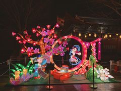 -青岛方特梦幻王国