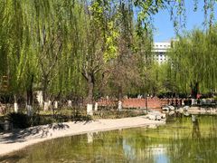 -丰台科技园生态主题公园