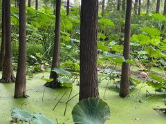 -云龙湖旅游景区