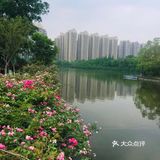 天府新区南湖公园