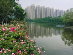 -成都南湖公园