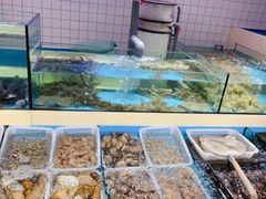 水产区-日进一片海.生腌海鲜火锅.宵夜烧烤(三里屯总店)