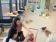 -怪兽屋·羊驼·猫咖·狗咖(俊华广场店)