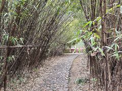 -白塘生态植物园