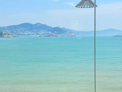-魚當家