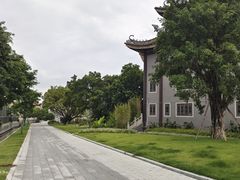-碧江金楼