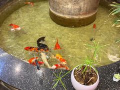 -古莲·影院足道·按摩SPA(水上温泉店)