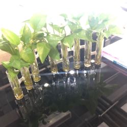 -东瀛造型