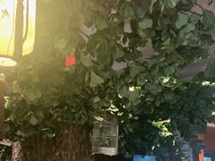 -八府香鸭·啫啫煲(华山路店)