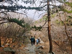 -北京鹫峰国家森林公园