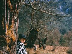 -硗碛藏寨·神木垒景区