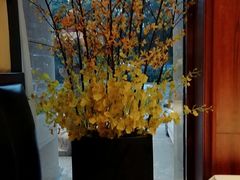 景观位-八府香鸭·啫啫煲(华山路店)