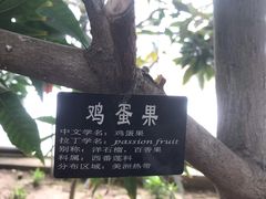 -南通洲际绿博园