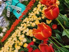 -南宫五洲植物乐园