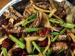 -辣盆盆麻辣小龙虾(哈尔滨总店)