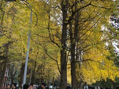 -四川大学(望江校区)