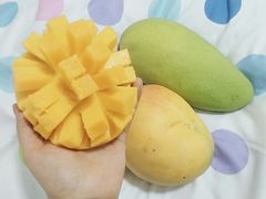 -三亚新鸿港水果一级批发市场