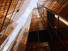 -香港皇家太平洋酒店