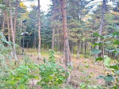 -帽儿山国家森林公园