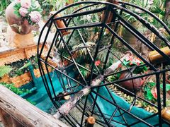 -园林美食城·本土农家菜(杨和镇店)