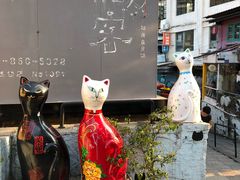 -猫咪博物馆(顶澳仔猫街店)