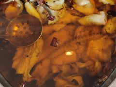 -鑫巴蜀小镇 · 水煮鱼专研店(玉桥店)