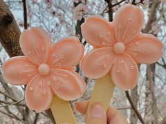 -桃花堤公园