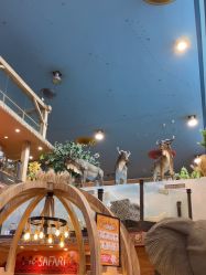 -卡通尼·Safari非洲探索乐园·生日会(金桥国际商业广场店)