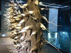 -成都许燎源现代设计艺术博物馆
