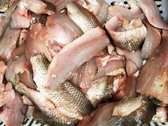 -章记正宗南岗鱼蛋火锅