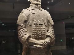 -秦始皇帝陵博物院(兵马俑)