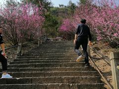 -天台山赤城山景区